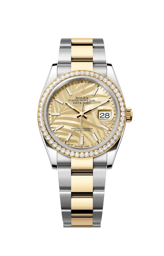 Rolex Datejust 36mm 126283rbr-0024