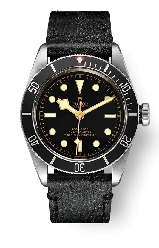Tudor Black Bay 41mm m79230n-0008