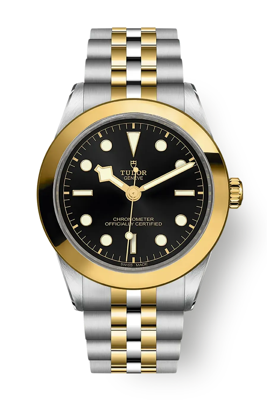 Tudor Black Bay 31 36 39 41 39mm m79663-0001