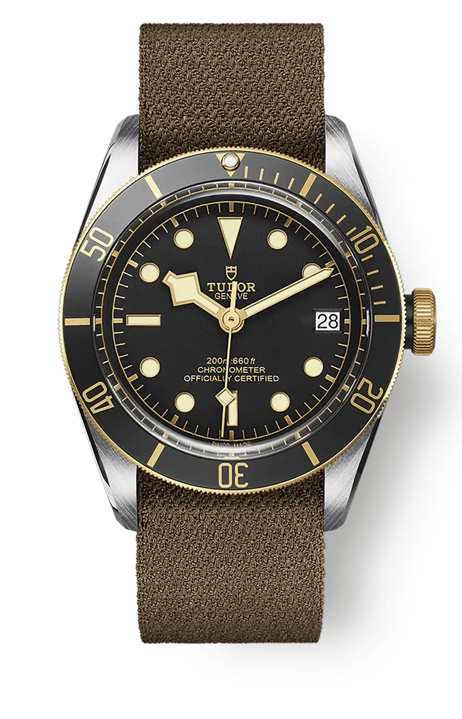 Tudor Black Bay 41mm m79733n-0005