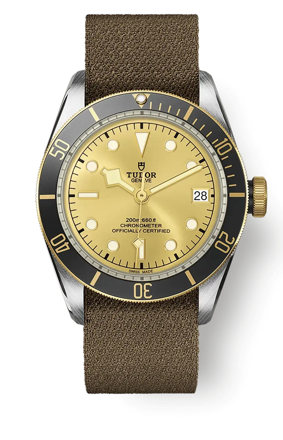 Tudor Black Bay 41mm m79733n-0006